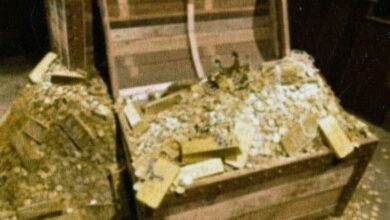 كتاب استخراج الكنوز بالقران