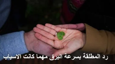 رد المطلقة بسرعة البرق مهما كانت الاسباب