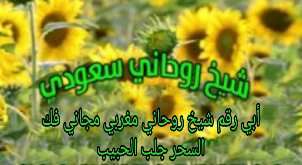 أبي رقم شيخ روحاني مغربي مجاني فك السحر جلب الحبيب