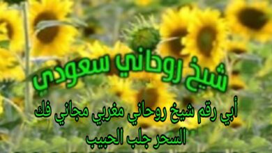 أبي رقم شيخ روحاني مغربي مجاني فك السحر جلب الحبيب