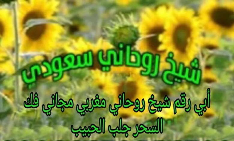 أبي رقم شيخ روحاني مغربي مجاني فك السحر جلب الحبيب